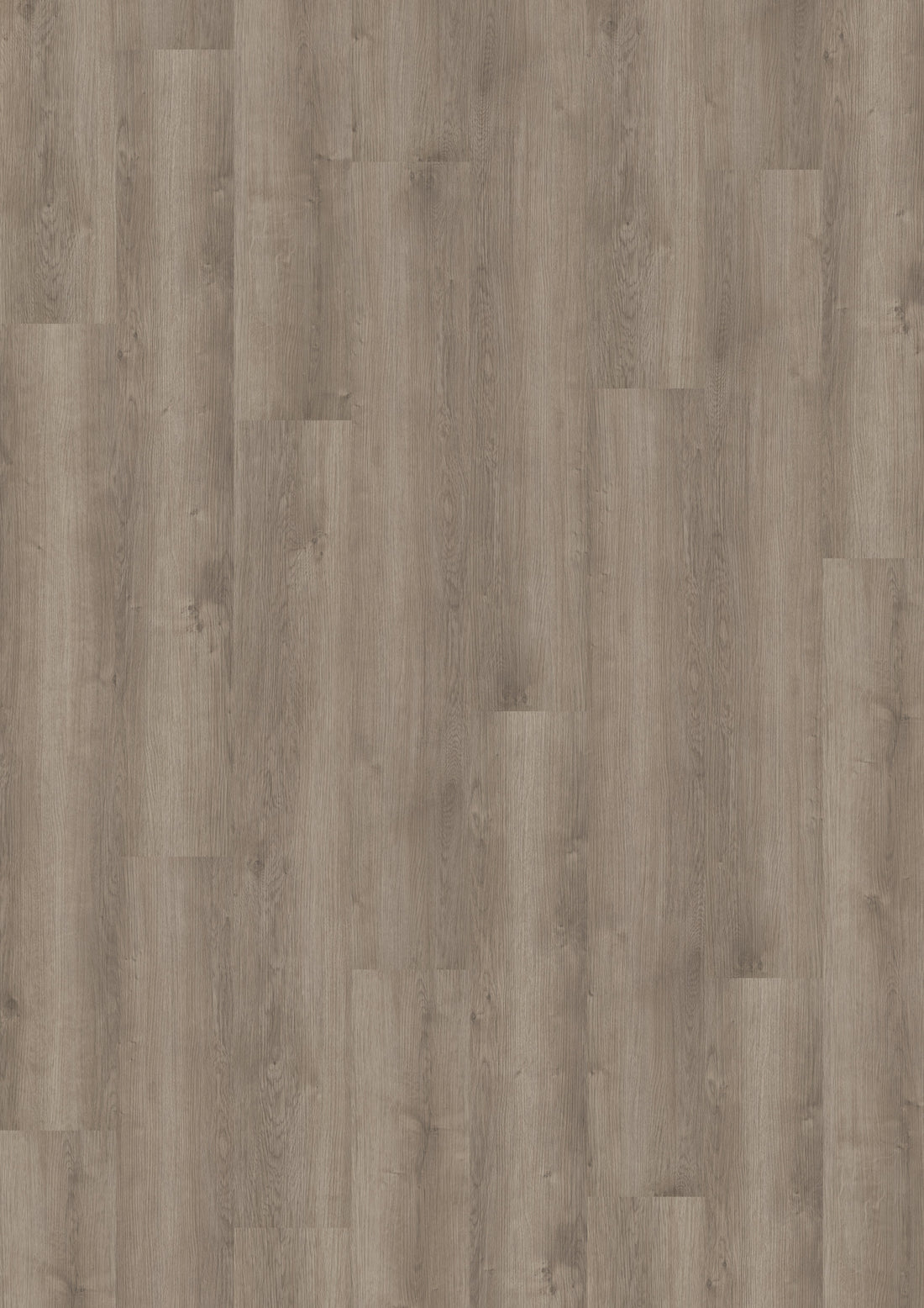 Parchet LVT 2.5 mm Noble Oak Greige - H30